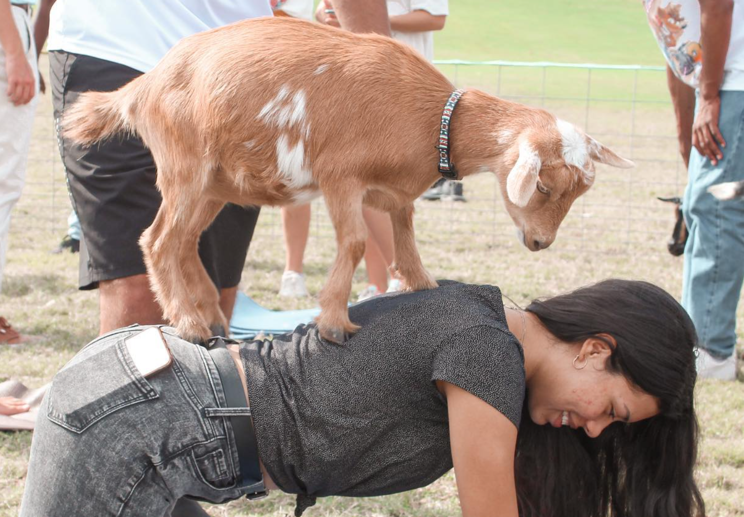 Reach Programming Event: Goat Yoga